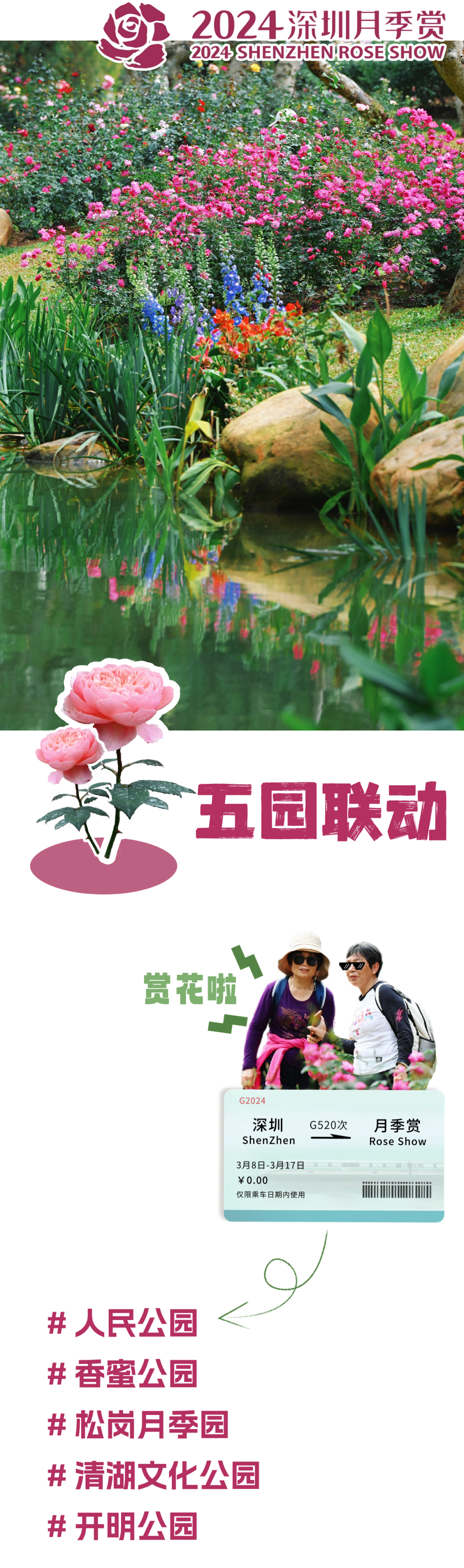 Featured image for “2024 Shenzhen Rose Appreciation Five Gardens Linkage to Start Romance and Sigh Spring”