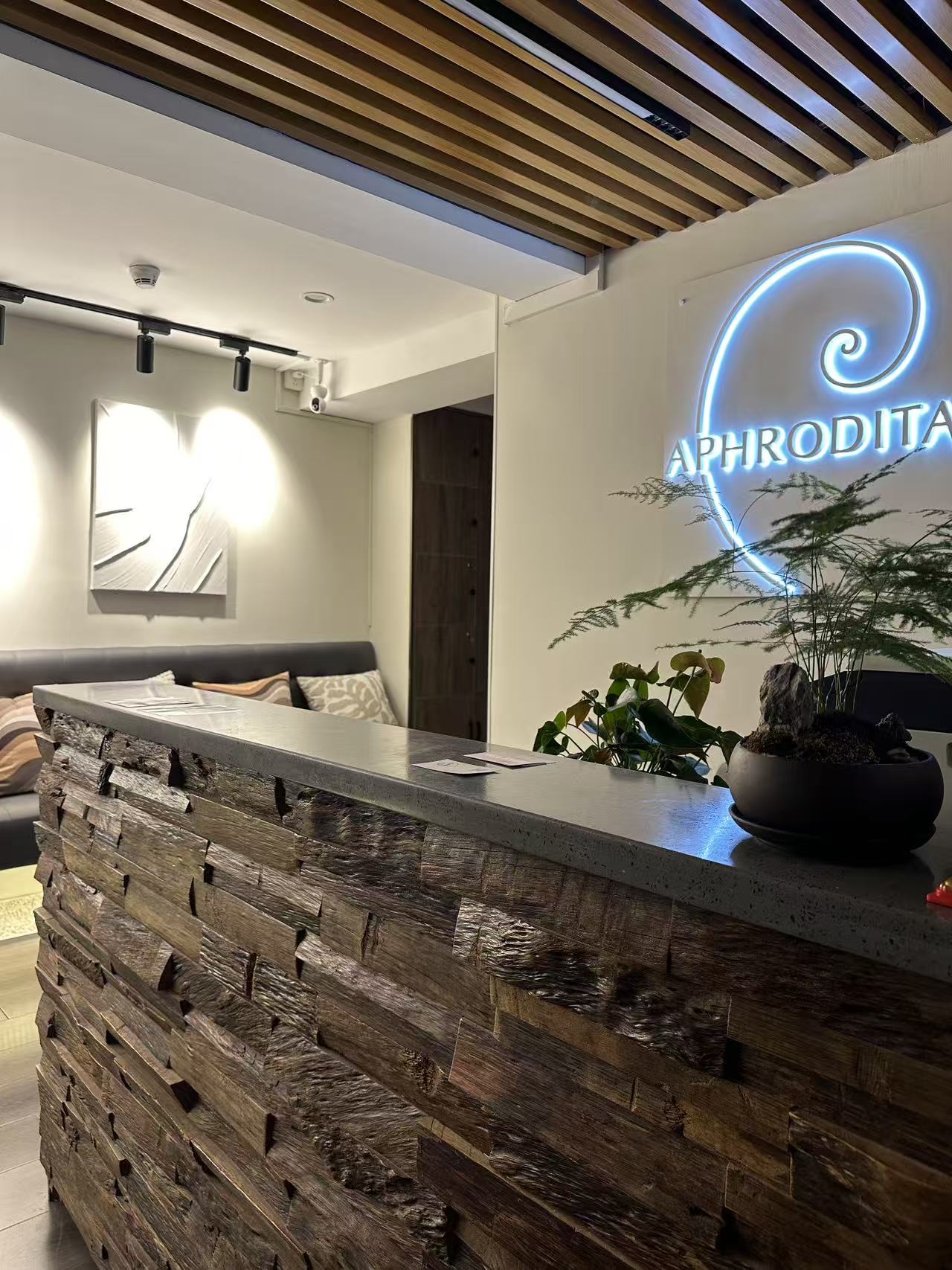 Featured image for “From Suitcases to Skyline: The Inspiring Journey of Aphrodita Salon and its Visionary Owner Sveta”