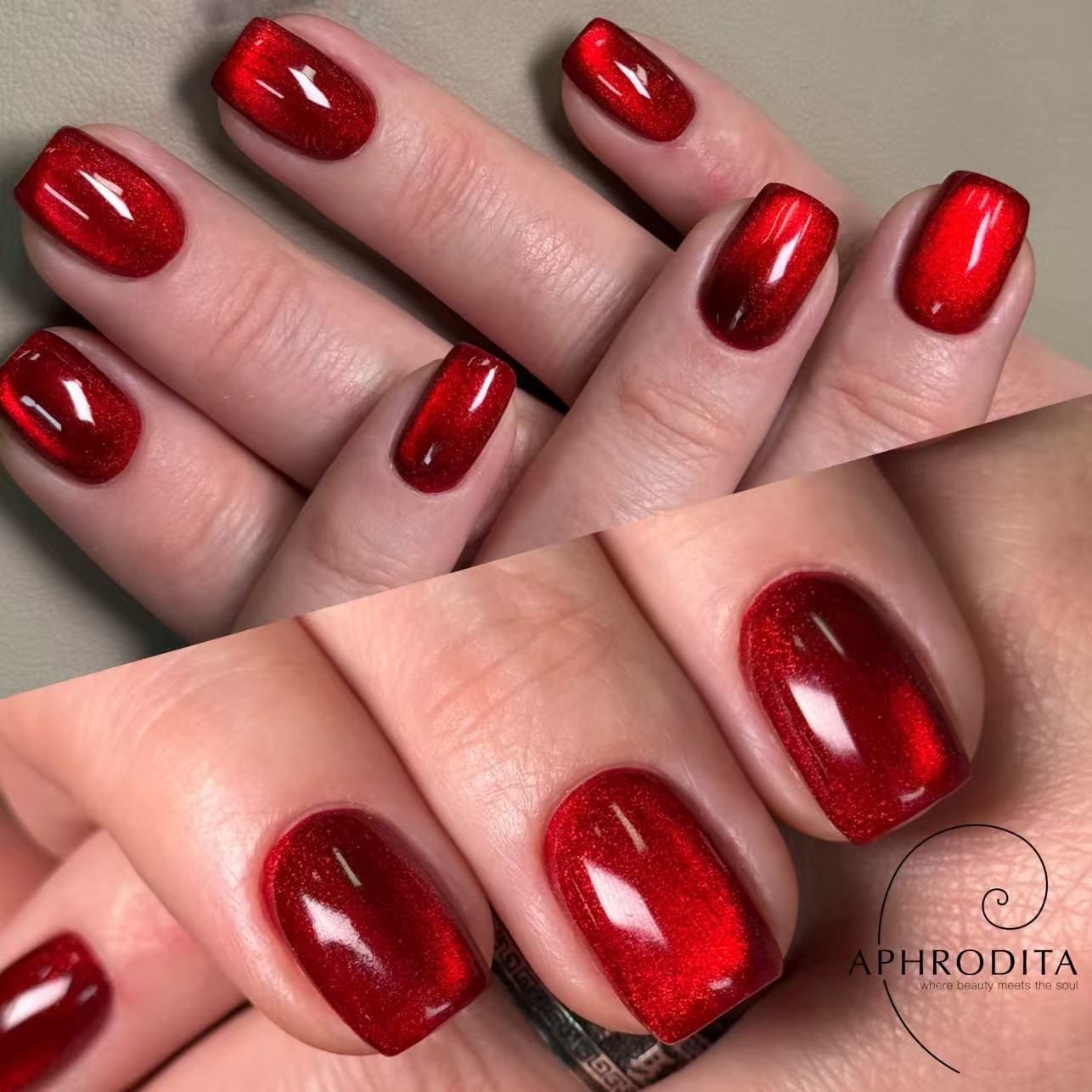 Featured image for “Welcome the Year of the Horse: Aphrodita Beauty Salon Edition”