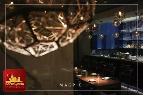 Featured image for “MAGPIE”